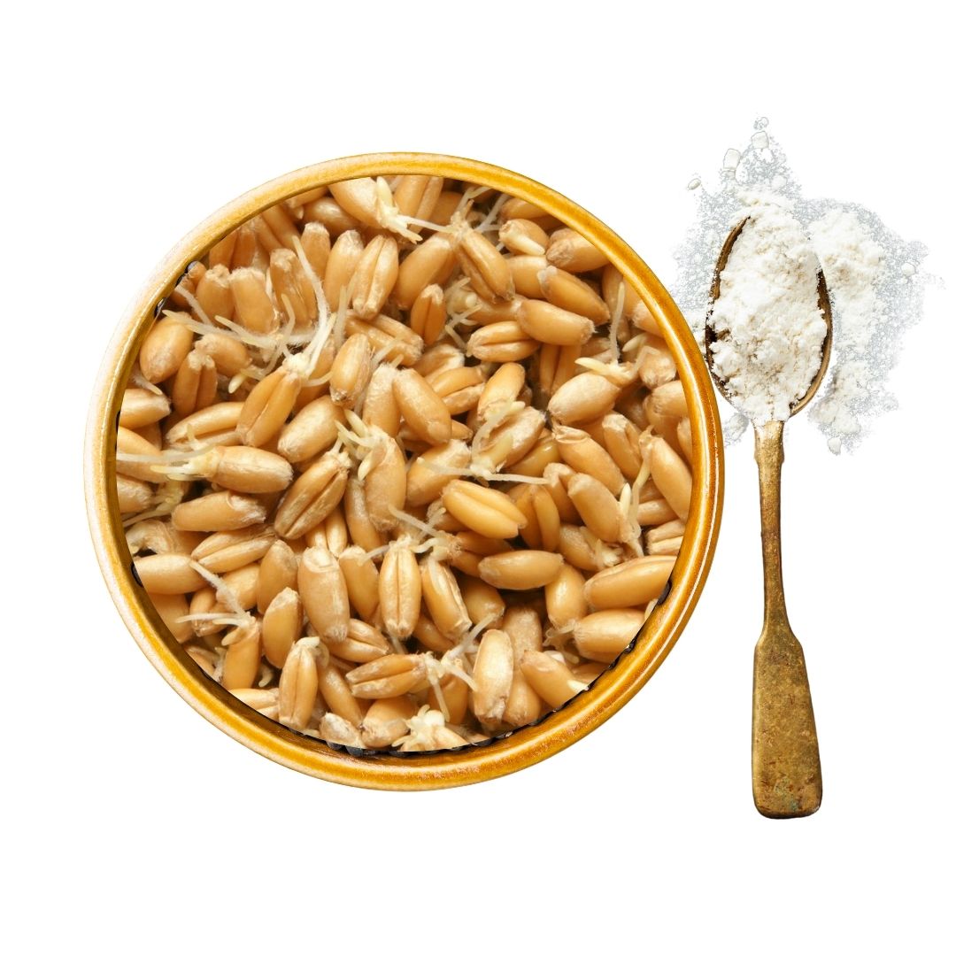 Sprouted Emmer Wheat Atta - The Millet Store