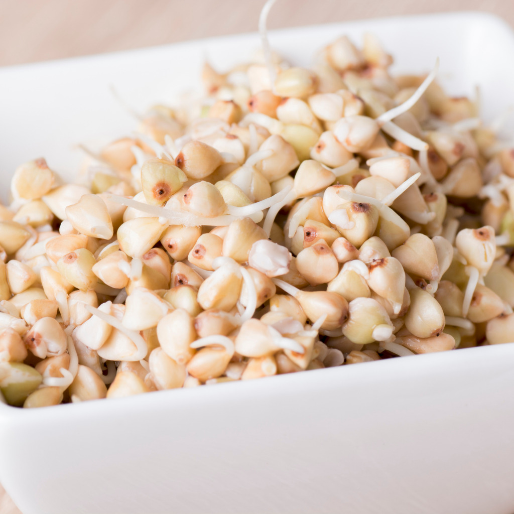Sprouted Jowar | Sorghum Flour - Image 3